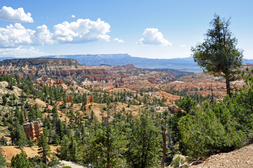 Sunrise Point in Bryce Canyon